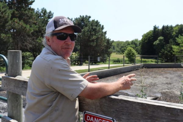 Dairy looks to ancient technology to manage manure odor, runoff – vtdigger.org