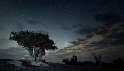 Great Basin National Park announces 10th annual Astronomy Festival – FOX5 Las Vegas