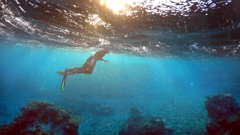 Israeli researchers are using 3D printing technology to help rebuild coral reefs – The Jerusalem Post