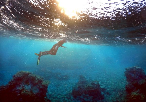 Israeli researchers are using 3D printing technology to help rebuild coral reefs – The Jerusalem Post