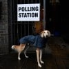 Analysis | The Technology 202: U.K. elections provide key test for American tech companies’ efforts to fight disinformation – The Washington Post