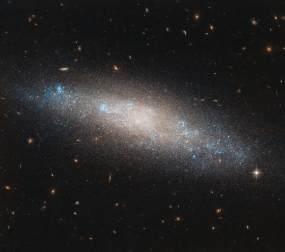 Hubble Scores Stunning Close-Up View of NGC 4455 | Astronomy – Sci-News.com