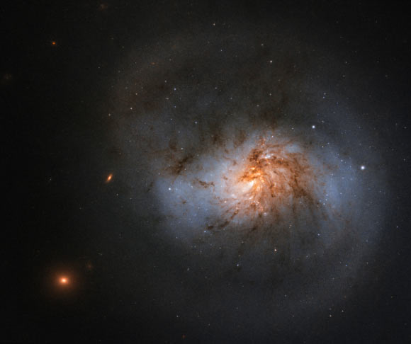 Hubble Views Face-On Barred Spiral Galaxy | Astronomy – Sci-News.com