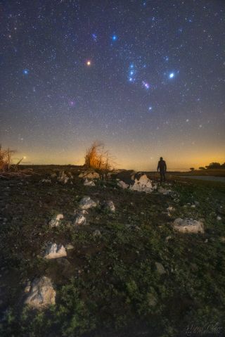 Orion and its dimming star Betelgeuse shine over a stargazer in this sentimental night-sky photo – Space.com
