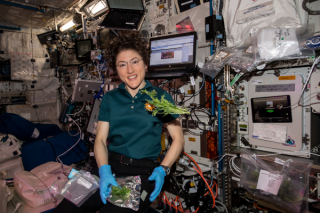 The big science of NASA astronaut Christina Koch’s near-year in space in photos – Space.com