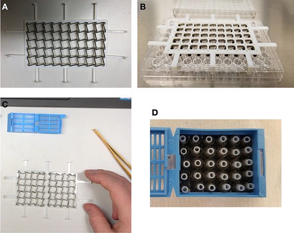 Collapsible basket technology aims to improve drug discovery, personalized medicine – Purdue News Service