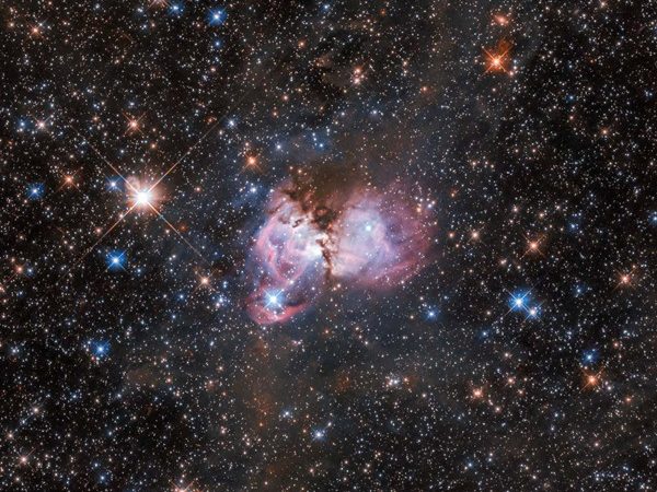 Hubble dissects a tarantula to study how giant stars form – Astronomy Magazine