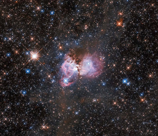 Hubble dissects a tarantula to study how giant stars form – Astronomy Magazine