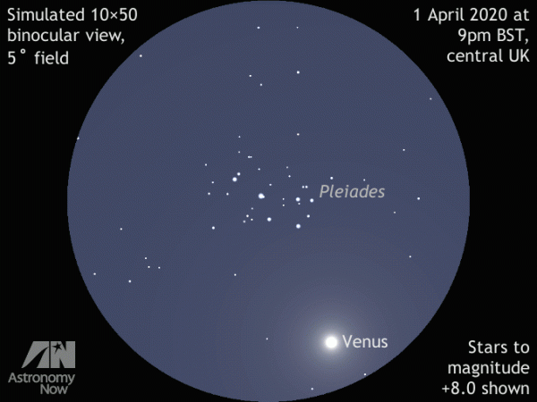 Planet Venus photobombs the Pleiades (Seven Sisters) 1–5 April – Astronomy Now Online