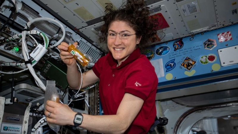 Astronaut Christina Koch on making space history and how to survive isolation – News Info Park