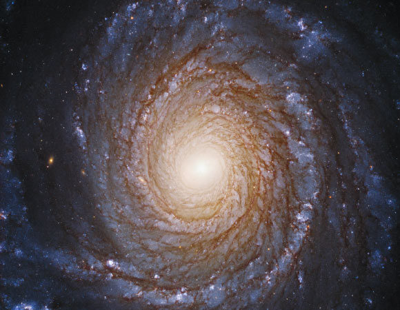 Spiral Galaxies More Likely to Host Complex Life: Study | Astrobiology, Astronomy – Sci-News.com