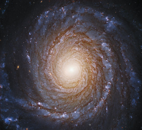 Spiral Galaxies More Likely to Host Complex Life: Study | Astrobiology, Astronomy – Sci-News.com