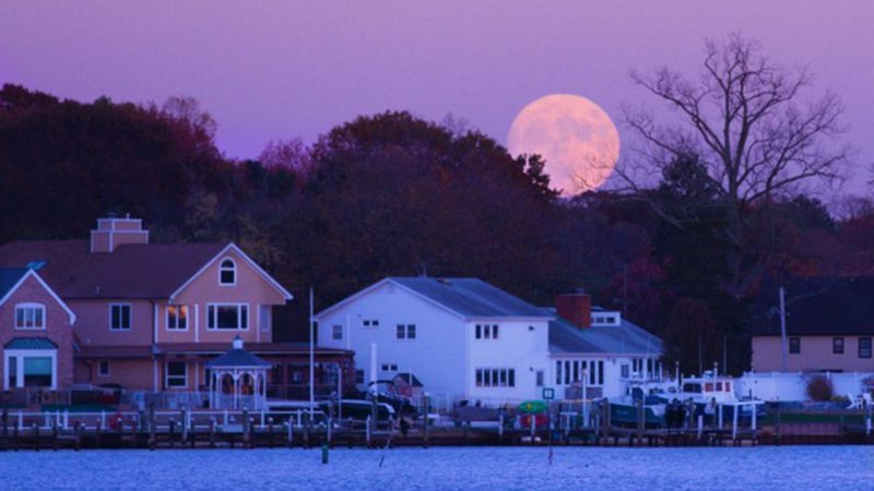 13 full moons, including 4 supermoons and a blue moon, will shine in 2023 – NJ.com