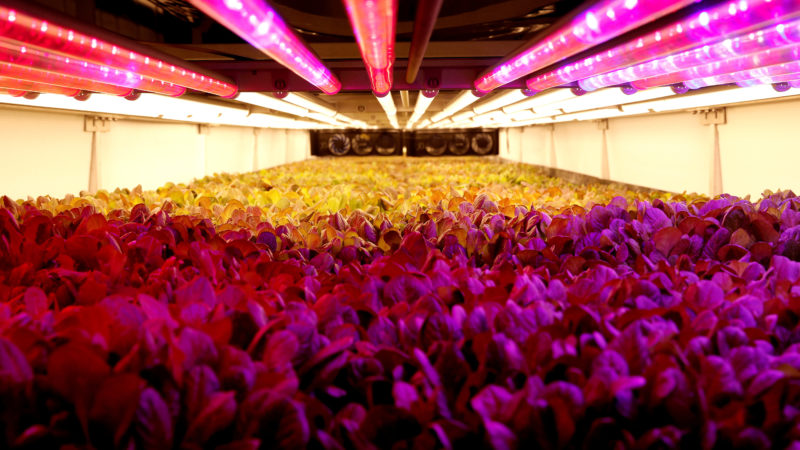 To boldly grow: how space agtech shapes farming on Earth – World Economic Forum